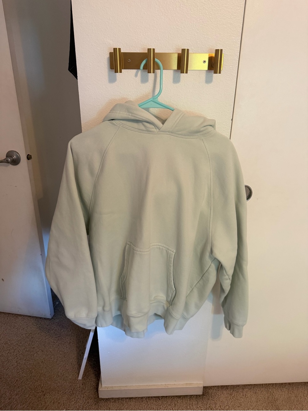 Aritzia Mint color Hoodie